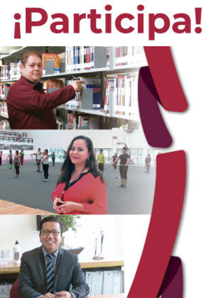 Detecci&oacute;n de Necesidades de Formaci&oacute;n y Capacitaci&oacute;n