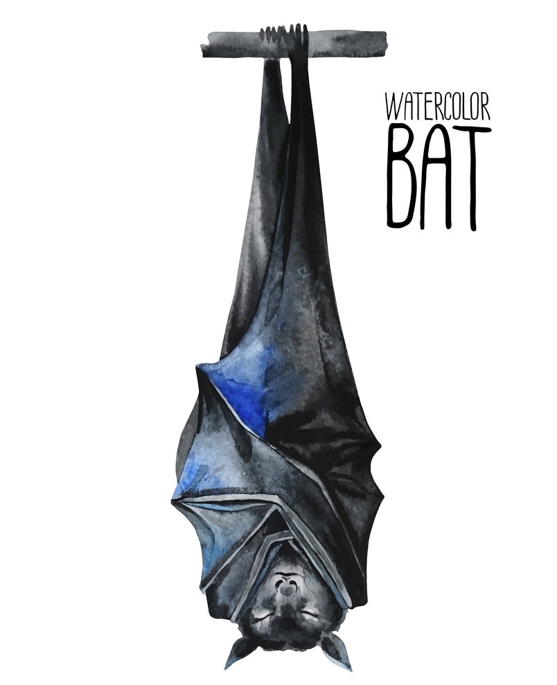 コウモリ イラスト