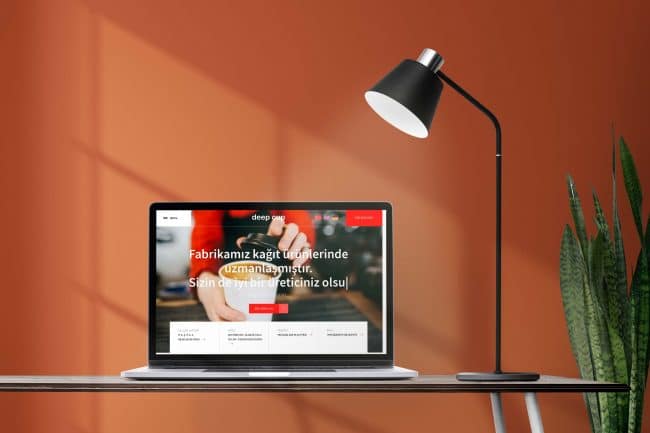 Web Tasarım Ajansı