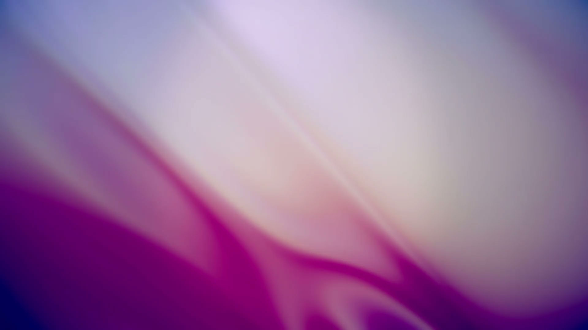 Image with missing alt attribute found on isadoradigitalagency.com