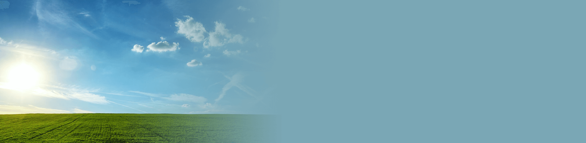 Image with missing alt attribute found on islamweb.net