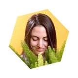 Image with missing alt attribute found on iteratehq.com