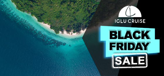 Image with missing alt attribute found on iglucruise.com