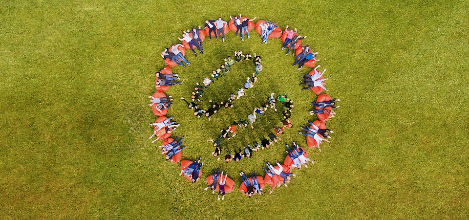 jambit-bohne-aus-jambitees-von-oben