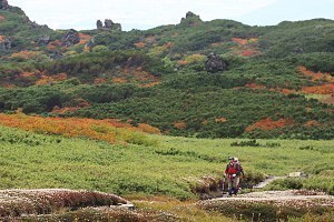 Image with missing alt attribute found on japan-guide.com