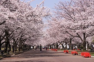 Image with missing alt attribute found on japan-guide.com