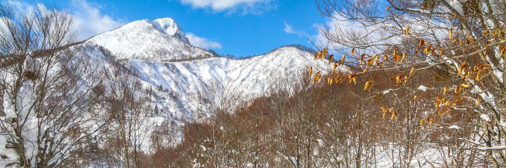 Image with missing alt attribute found on japan-guide.com