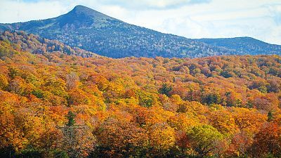 Image with missing alt attribute found on japan-guide.com