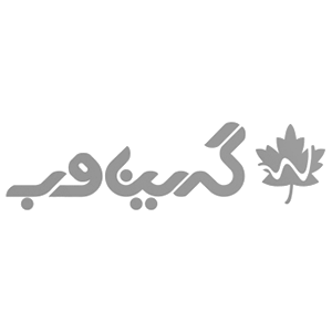 Image with missing alt attribute found on javadyasemi.ir