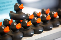 Image with missing alt attribute found on jaxlondon.com