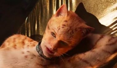 Image with missing alt attribute found on jenesaispop.com