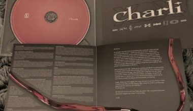 Image with missing alt attribute found on jenesaispop.com