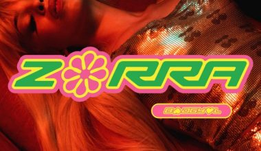 Image with missing alt attribute found on jenesaispop.com