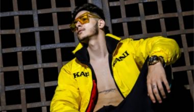 Image with missing alt attribute found on jenesaispop.com