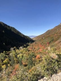 Image with missing alt attribute found on joyfoodsunshine.com