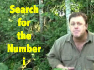 Search for The Number i