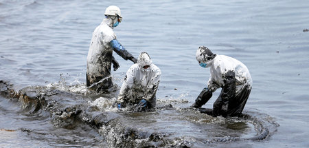 Image with missing alt attribute found on jungewelt.de