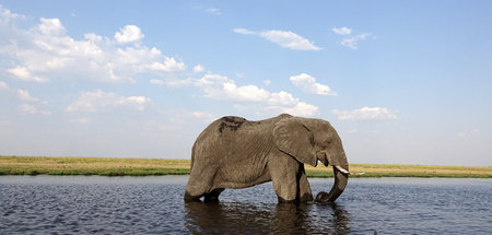 Image with missing alt attribute found on jungewelt.de