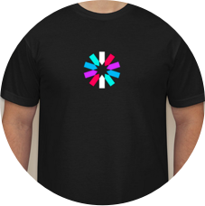 Image with missing alt attribute found on jwt.io