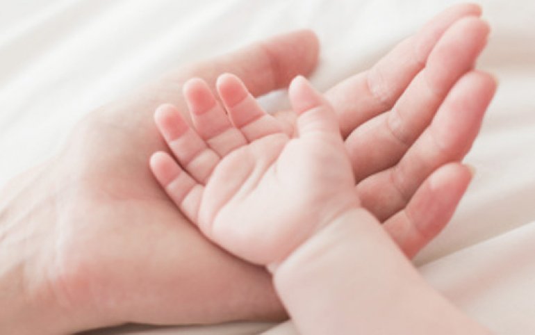 Image with missing alt attribute found on kazlenta.kz