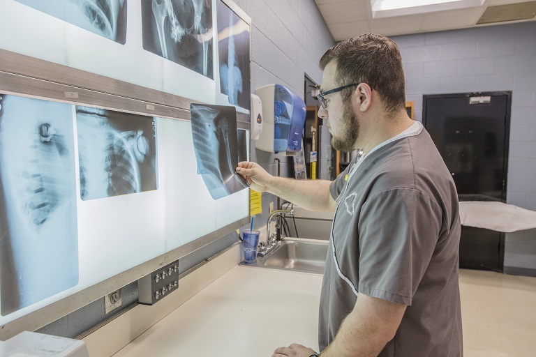 radiography student looking at x-rays