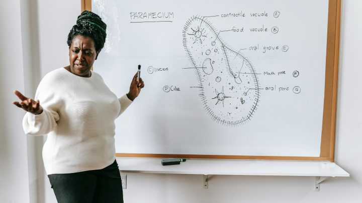 Image with missing alt attribute found on kennflik.com