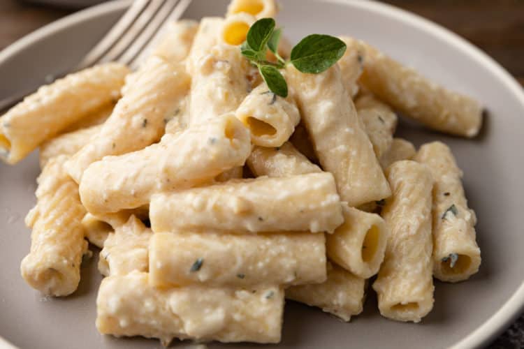 white pesto pasta on grey plate