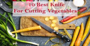 10 Best Knife For Cutting Vegetables