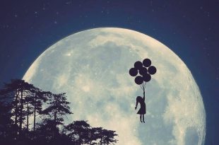 صورة اجمل الصور للواتس اب , اجعل الواتس اب مميز و جميل