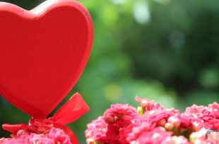 صورة اجمل حب رومانسي , كلمات جميلة و رقيقة عن الحب