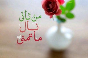 صورة خلفيات مكتوب عليها عبارات حلوه , هاتفك سيكون اجمل بهذه الخلفيات