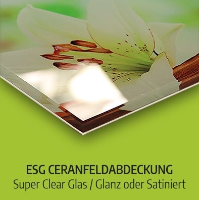 ESG Glas Ceranfeldabdeckung