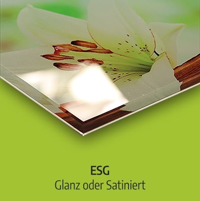 ESG Glas glanz satiniert