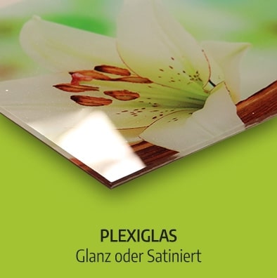Küchenrückwand Plexisglas glanz satiniert
