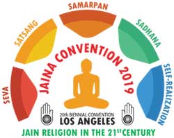 Image with missing alt attribute found on laaveo.com