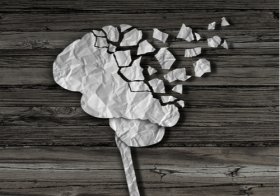 Image with missing alt attribute found on lamenteesmaravillosa.com