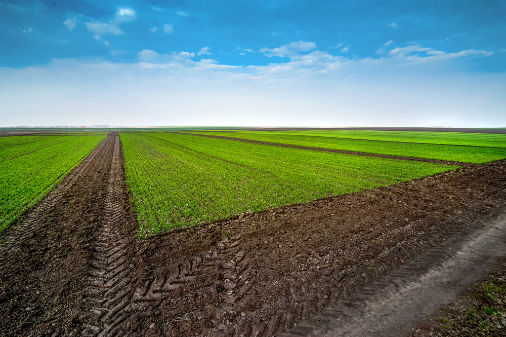 Image with missing alt attribute found on lanceragrico.com