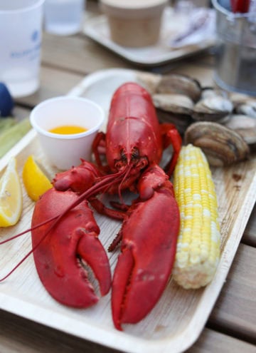 Image with missing alt attribute found on laurenslatest.com