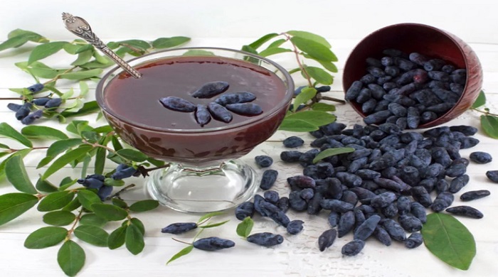 Image with missing alt attribute found on leadinlife.info