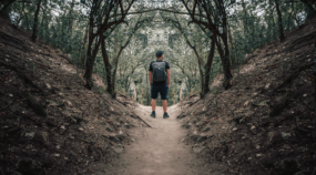 How to Get Perfect Symmetry: The Editor Will Help!