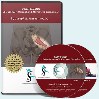 Image with missing alt attribute found on learnmuscles.com