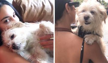 Если собака кладет лапу на хозяина, она пытается сказать «Я люблю тебя»