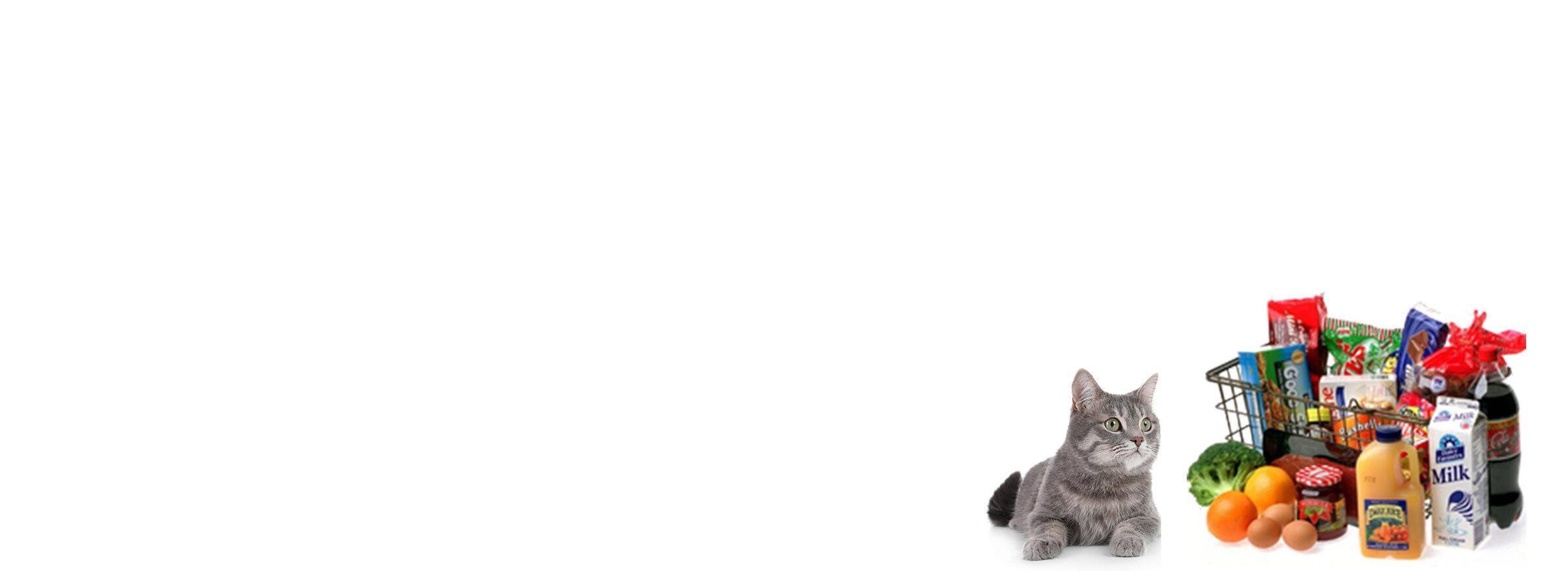 Image with missing alt attribute found on leyjao.pk