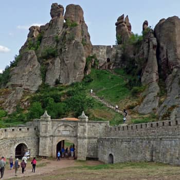 Image with missing alt attribute found on lingohut.com