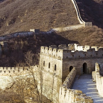 Image with missing alt attribute found on lingohut.com