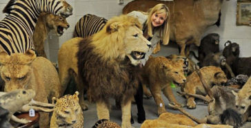 Image with missing alt attribute found on listverse.com