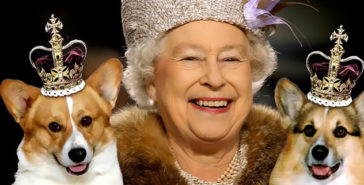 Image with missing alt attribute found on listverse.com