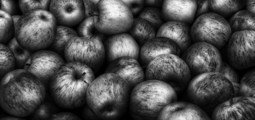 антоновские яблоки