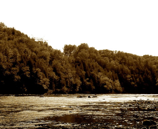 Image with missing alt attribute found on lithub.com