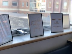 Image with missing alt attribute found on dmc.org